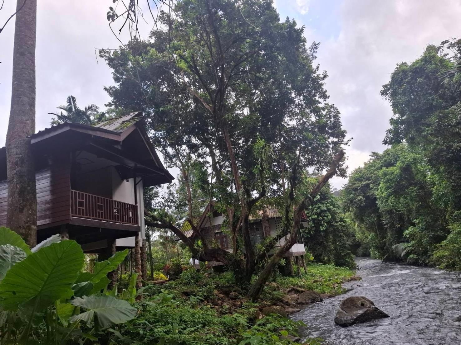 Tree Tops River Huts Khao Sok National Park Екстериор снимка