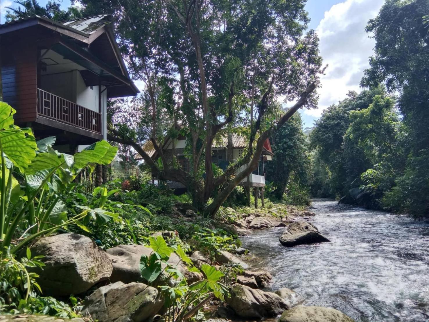 Tree Tops River Huts Khao Sok National Park Екстериор снимка